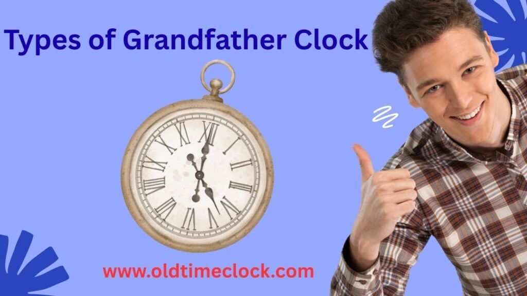 Antique wooden grandfather clocks of different types lined up, each with unique design and historical charm.